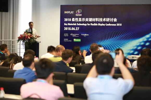 veDISPLAY CHINA 2019ͬڻӾcȿ