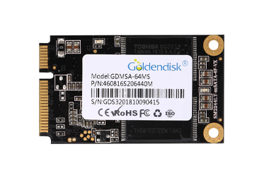 GoldendiskGDNGF-256MS